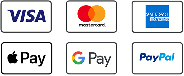Visa, Mastercard, American Express, Apple Pay, Google Pay, PayPal